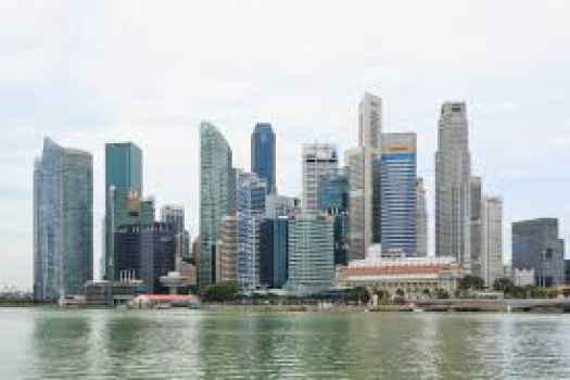Apply for Singapore citizenship