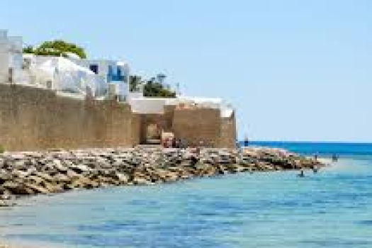 Expats Tunisia