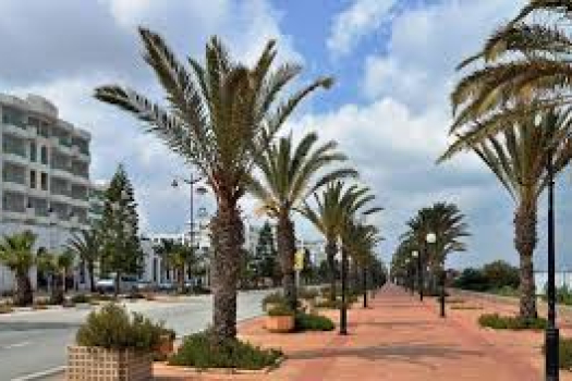 Investing in Tunisia