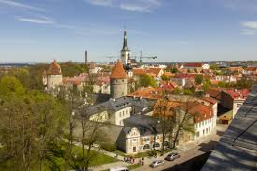 Opening a company in Estonia