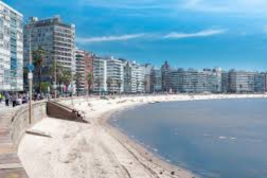 Start a business abroad