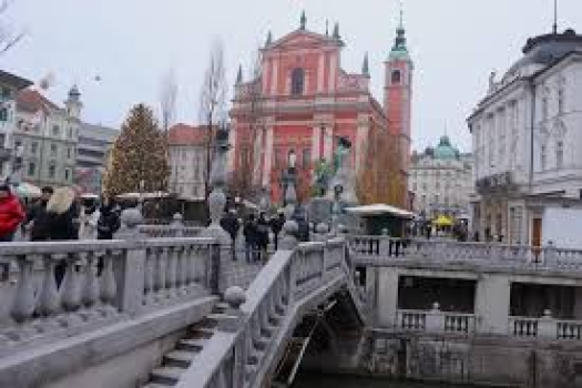 Tax advisor Slovenia